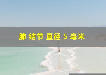 肺 结节 直径 5 毫米